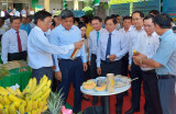 Binh Duong heading towards smart new rural area construction