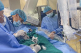 Lần đầu tiên tại Việt Nam bác sỹ thay van trong van động mạch chủ
