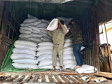 Over 129 tonnes of rice allocated to Binh Phuoc's disadvantaged students