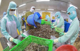 Agro-forestry-fisheries sector enjoys trade surplus of 9.3 billion USD