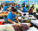 Gần 290 sinh viên, tình nguyện viên tham gia hiến máu tình nguyện