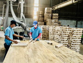 Export markets and domestic consumption are recovering