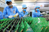 越南加大对半导体产业人力资源的培训力度