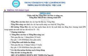 Trung tâm Dịch vụ việc làm Bình Dương thông báo tuyển dụng việc làm