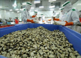 越南蛤蜊销往国际市场的基础