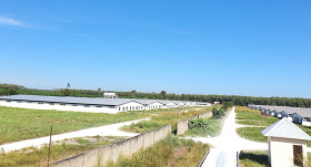 Synchronizing solutions, building up modern agriculture