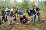 Tree planting marks 50th anniversary of Vietnam – Finland ties