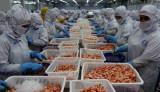 2023年越南虾类出口额预计将达到34亿美元