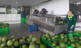 North Tan Uyen: 40 OCOP products recognized with 3 and 4-star standards