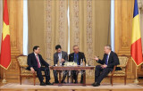 Thủ tướng Phạm Minh Chính hội kiến Chủ tịch Thượng viện Romania