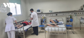 Dengue fever cases in Hanoi higher than Ho Chi Minh City