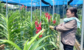 Fruits and flowers on high peak for Tet
