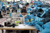 越南纺织服装业：促进绿色发展 实施市场多元化