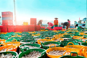 National programme on protection and development of aquatic resources approved