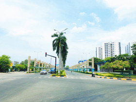 At least 25% of IP area to be for green trees