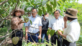 To elevate local produces