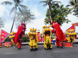 Lion and Dragon Art Festival in Thu Dau Mot City held