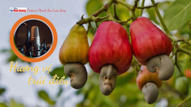 THANH ÂM CUỘC SỐNG: Hương vị trái điều