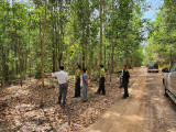 Upper-hand prevention of forest fires maintained in dry season