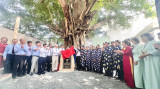 省内三棵古树被列入“越南遗产树”名录，一对陶龙模型荣获越南纪录