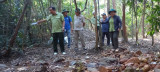 Ban Quản lý rừng phòng hộ núi Cậu Dầu Tiếng: Chủ động phòng chống cháy, phát triển rừng bền vững