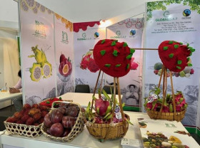Vegetable, fruit exports see large potential in Southeast Asia, Middle East: forum