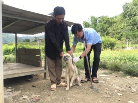 PM requests strict rabies prevention and control