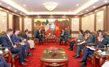 Vietnam keen on expanding trade, investment cooperation with Ireland: Minister