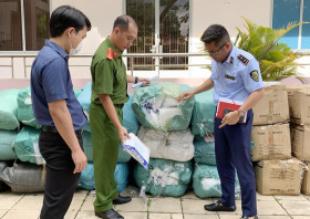 Efficiently implement the coordination regulations for market control