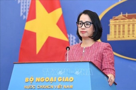 Vietnam resolutely refutes illegal claims in East Sea: Spokeswoman