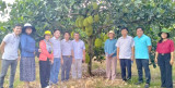 Huyện Phú Giáo: Khảo sát thực tế tiềm năng phát triển làng thông minh