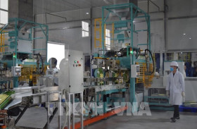 Businesses bullish on Q2 outlook: GSO