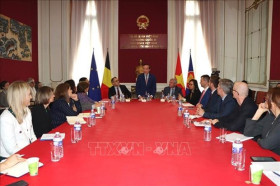 Cooperation with Vietnam among EU’s priorities in Indo-Pacific: official