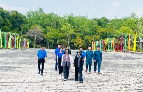 In the forest of history