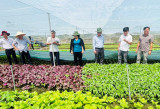 Huyện Bàu Bàng: Nhiều mô hình nông nghiệp ứng dụng công nghệ cao phát huy hiệu quả