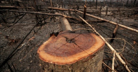 Protecting humanity’s living environment