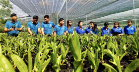 Accompanying youngsters