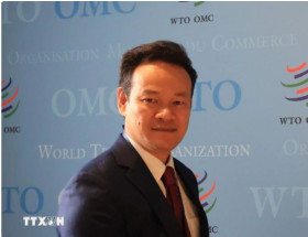 Vietnam wishes to contribute more to global peace, development: ambassador