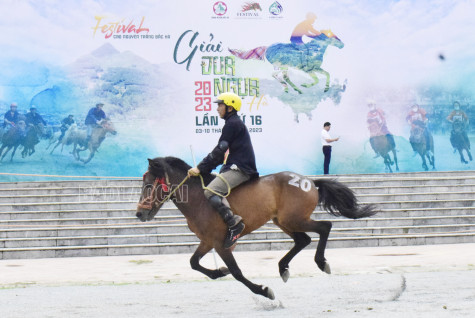 Từ ngày 2 đến 8-6 sẽ diễn ra Giải đua ngựa truyền thống huyện Bắc Hà mở rộng năm 2024