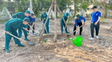Plant trees, create forests for a green Binh Duong