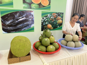 Farmers are dynamic, products have a stable market