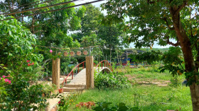 When agricultural cooperatives participate in tourism development