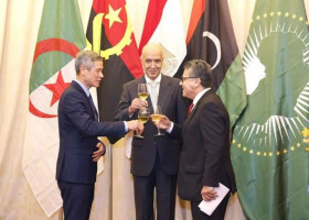 Vietnam hopes to further reinforce ties with Africa: official