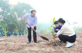 平阳省土龙木市：携手实现城市绿化