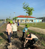 Efforts made in Bac Tan Uyen district to construct green living environment