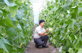 Phu Giao District develops high-tech agriculture and build smart village