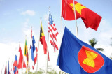ASEAN member states need to strengthen solidarity: expert