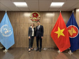 越南常驻联合国代表团团长会见联合国缅甸问题特使