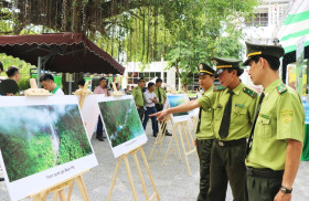 “为自然与人类创造可持续生活环境”展览会在顺化市开展
