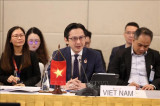 越南出席东盟系列会议和论坛